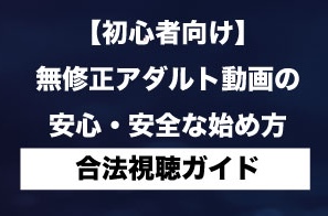 【初心者向け】無修正アダルト動画の安心・安全な始め方｜合法視聴ガイド