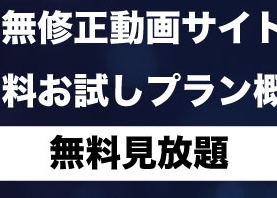 無修正動画サイト無料見放題プラン
