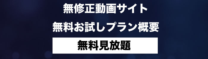 無修正動画サイト無料見放題プラン